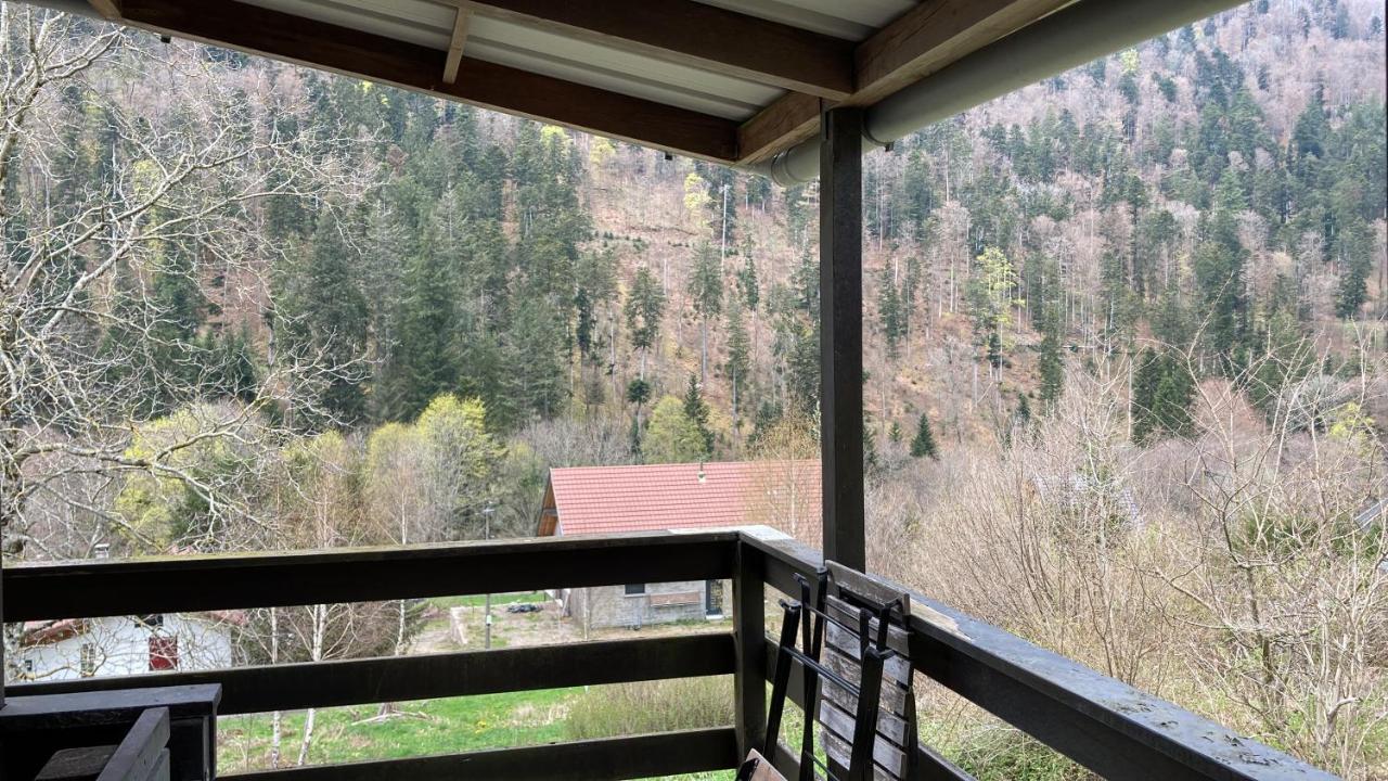 Le Chalet Du Coeur Mittlach Esterno foto