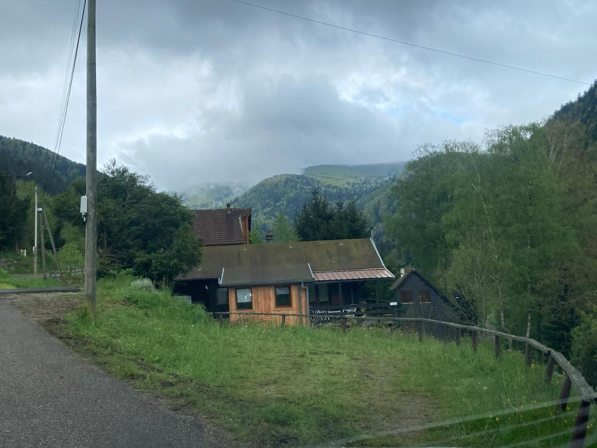 Le Chalet Du Coeur Mittlach Esterno foto