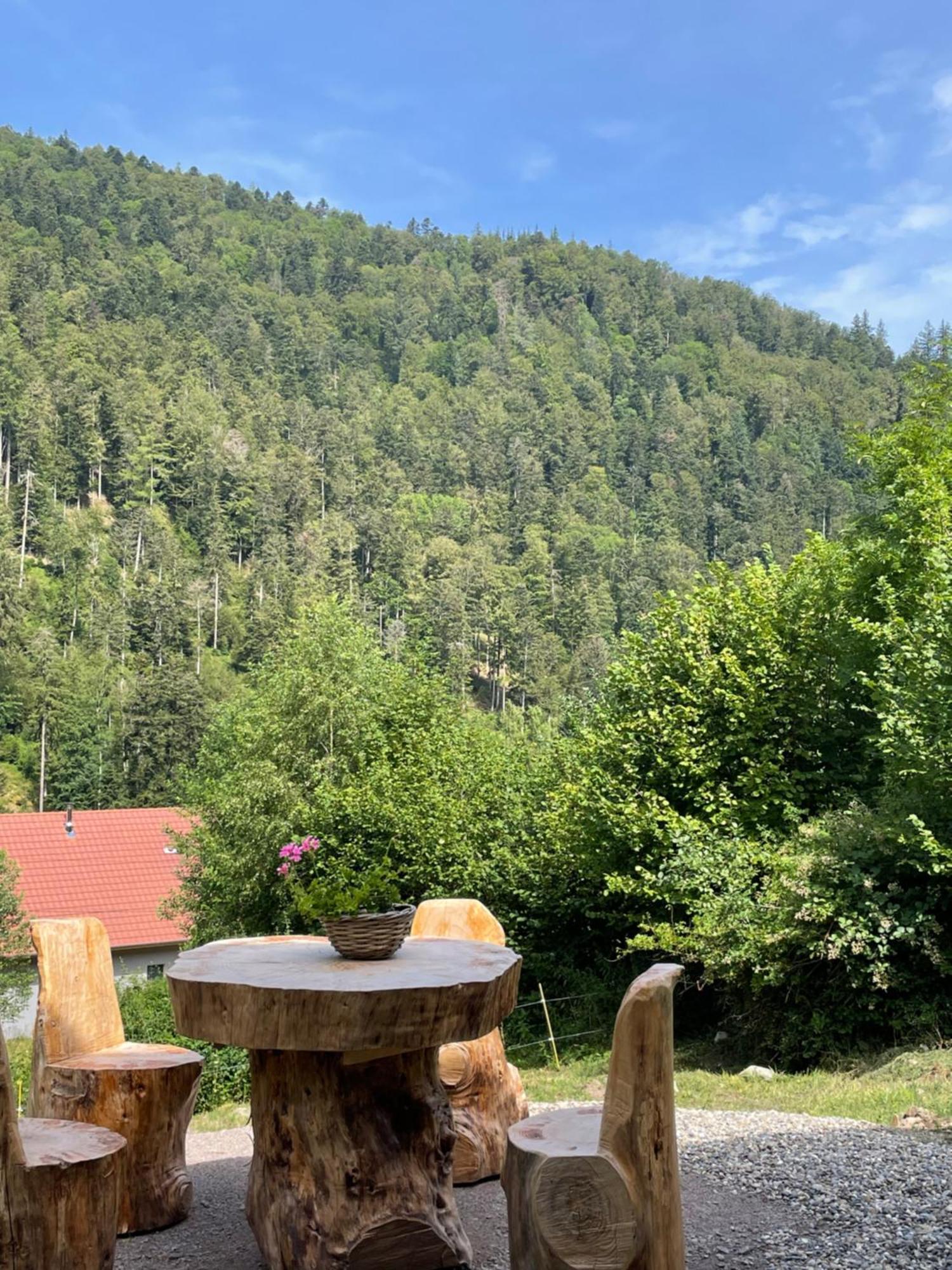 Le Chalet Du Coeur Mittlach Esterno foto